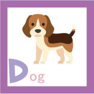 アルファベットd dog